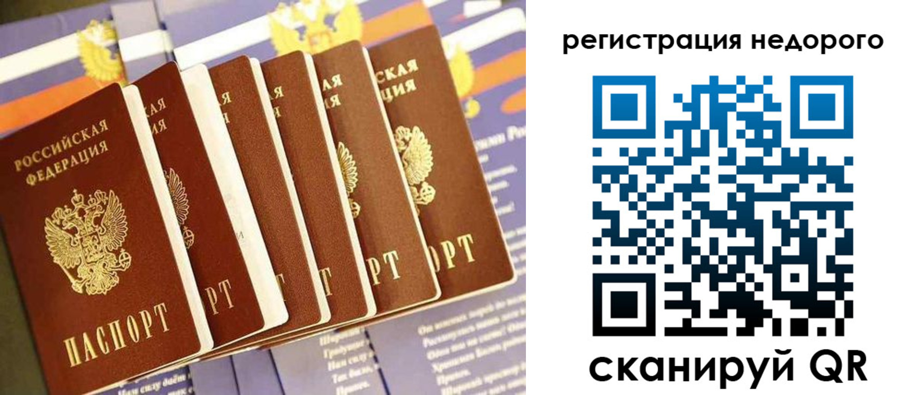 прописка в квартире в Чкаловске